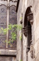 BarsN 0033